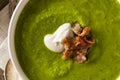 Homemade Green Spring Pea Soup Royalty Free Stock Photo