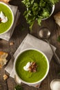 Homemade Green Spring Pea Soup Royalty Free Stock Photo