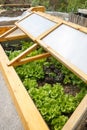 Homemade greenhouse raised garden bed