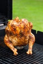 Homemade Grilled Beer Can Chicken Royalty Free Stock Photo