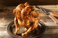 Homemade Grilled Beer Can Chicken Royalty Free Stock Photo