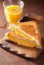 Homemade grilled cheese sandwich for breakfast Royalty Free Stock Photo