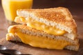 Homemade grilled cheese sandwich for breakfast Royalty Free Stock Photo