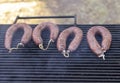 Homemade grilled sausage