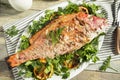 Homemade Grilled Whole Red Snapper