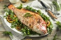 Homemade Grilled Whole Red Snapper