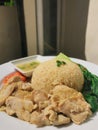 Homemade hainanese chicken rice Royalty Free Stock Photo