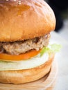 Homemade hamburger. Closeup side view. Royalty Free Stock Photo