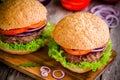 Homemade Hamburger With Fresh Green Lettuce, Tomato And Red Onion Closeup
