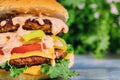 Homemade hamburger with lettuce, cheese, onion and tomato Royalty Free Stock Photo