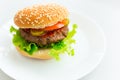 Homemade hamburger on the plate