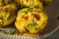 Homemade Healthy Breakfast Egg Muffins Royalty Free Stock Photo