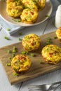 Homemade Healthy Breakfast Egg Muffins Royalty Free Stock Photo