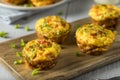 Homemade Healthy Breakfast Egg Muffins Royalty Free Stock Photo