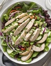 Homemade healthy chicken salad in a bowl Royalty Free Stock Photo