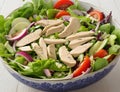 Homemade healthy chicken salad in a bowl Royalty Free Stock Photo