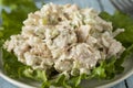 Homemade Healthy Chicken Salad Royalty Free Stock Photo