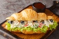 Homemade Healthy Chicken Salad Croissant Sandwich closeup on a wooden board. Horizontal Royalty Free Stock Photo