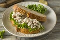 Homemade Healthy Chicken Salad Sandwich Royalty Free Stock Photo