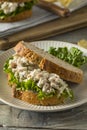 Homemade Healthy Chicken Salad Sandwich Royalty Free Stock Photo