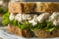 Homemade Healthy Chicken Salad Sandwich Royalty Free Stock Photo