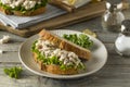 Homemade Healthy Chicken Salad Sandwich Royalty Free Stock Photo