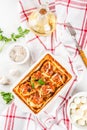 Prepared chicken turkey meatballs Royalty Free Stock Photo