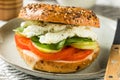 Homemade Healthy Eggwhite Bagel Sandwich Royalty Free Stock Photo