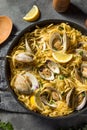 Homemade Healthy Linguini and Clams Royalty Free Stock Photo