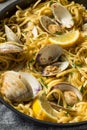 Homemade Healthy Linguini and Clams Royalty Free Stock Photo