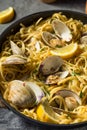 Homemade Healthy Linguini and Clams Royalty Free Stock Photo