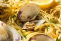 Homemade Healthy Linguini and Clams Royalty Free Stock Photo