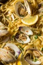 Homemade Healthy Linguini and Clams Royalty Free Stock Photo
