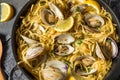 Homemade Healthy Linguini and Clams Royalty Free Stock Photo