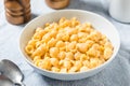 Homemade Healthy Macaroni and Cheese Shells Royalty Free Stock Photo