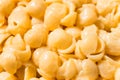 Homemade Healthy Macaroni and Cheese Shells Royalty Free Stock Photo