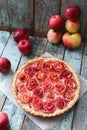 Homemade healthy pie. Gourmet apple rose tart with cream filling Royalty Free Stock Photo
