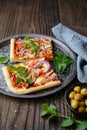 Homemade healthy Shiitake mushroom pizza topped with slices with green olives, cheese, red onion and oregano Royalty Free Stock Photo