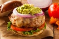 Homemade Healthy Turkey Burgers Royalty Free Stock Photo