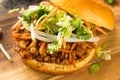 Homemade Healthy Vegan Lentil Barbecue Sandwich