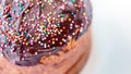 Homemade Holiday Cake With Chocolate Icing And Colored Sprinkles. Easter Cupcake. Festive Background. Selective Focus Royalty Free Stock Photo