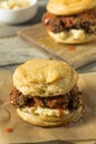 Homemade Honey Butter Chicken Biscuit Royalty Free Stock Photo