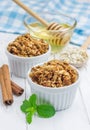 Homemade honey cinnamon granola Royalty Free Stock Photo