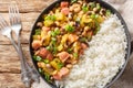 Homemade Hoppin john Southern style New year good luck food is a black-eyed peas and rice with vegetables dish closeup on the Royalty Free Stock Photo