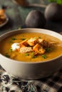 Homemade Hot Butternut Squash Soup Royalty Free Stock Photo