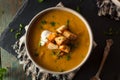 Homemade Hot Butternut Squash Soup Royalty Free Stock Photo