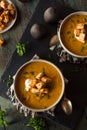 Homemade Hot Butternut Squash Soup Royalty Free Stock Photo