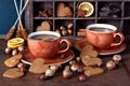 Homemade hot chocolate in mugs Royalty Free Stock Photo