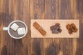 Homemade hot chocolate and spice, winter afternoon Royalty Free Stock Photo