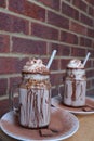 Homemade hot chocolate, with whipped cream and chocolate powder toppings.